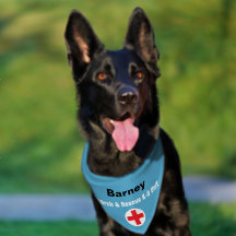 Search and Rescue K-9 Unit Blauw