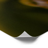 Searching Poster (Hoek)