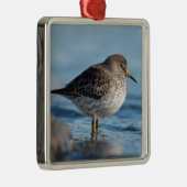 Searching Rock Sandpiper Metalen Ornament (Rechts)
