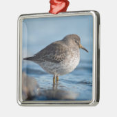 Searching Rock Sandpiper Metalen Ornament (Links)