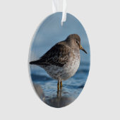 Searching Rock Sandpiper Ornament (voorkant)