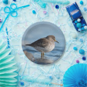 Searching Rock Sandpiper Papieren Bordje (Feest)