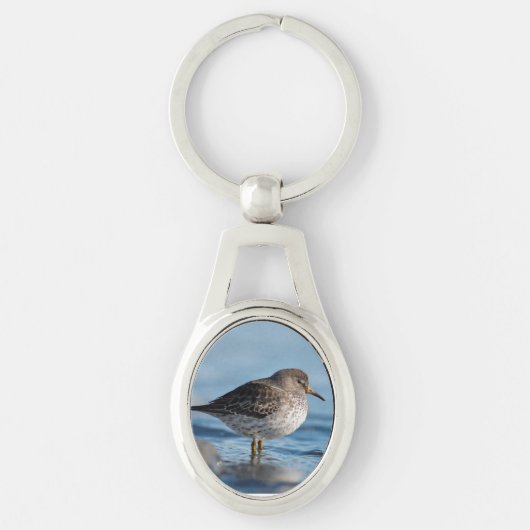 Searching Rock Sandpiper Sleutelhanger (Voorkant)