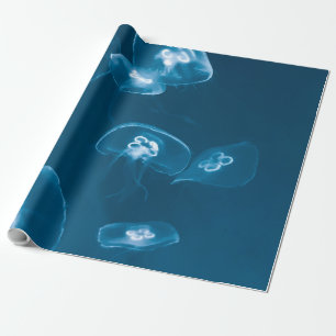 Seascape Cadeaupapier