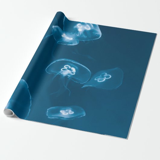 Seascape Cadeaupapier (Uitgerold)