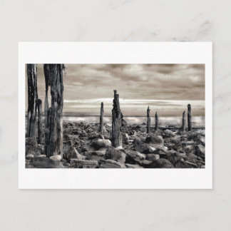 Seascape - Morning Moorings Briefkaart
