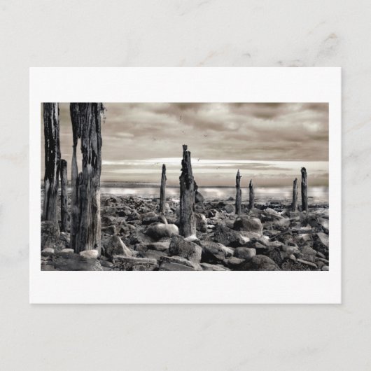 Seascape - Morning Moorings Briefkaart (Voorkant)