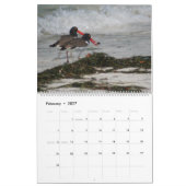 Seascapes en landschappen — Agenda 2011 Kalender (Feb 2027)