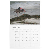 Seascapes en landschappen — Agenda 2011 Kalender (Feb 2026)