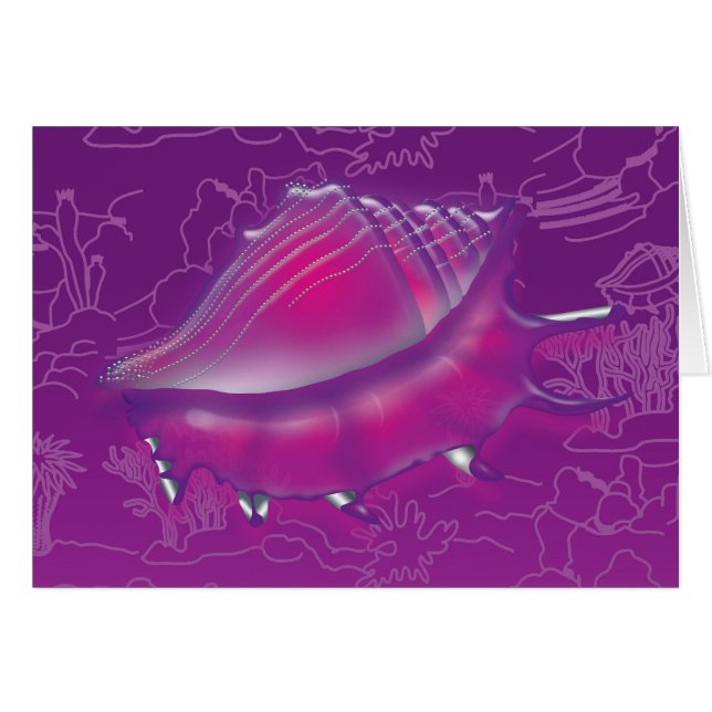 Seashell (Voorkant Horizontaal)