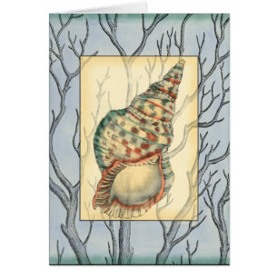 Seashell and Tree Branches