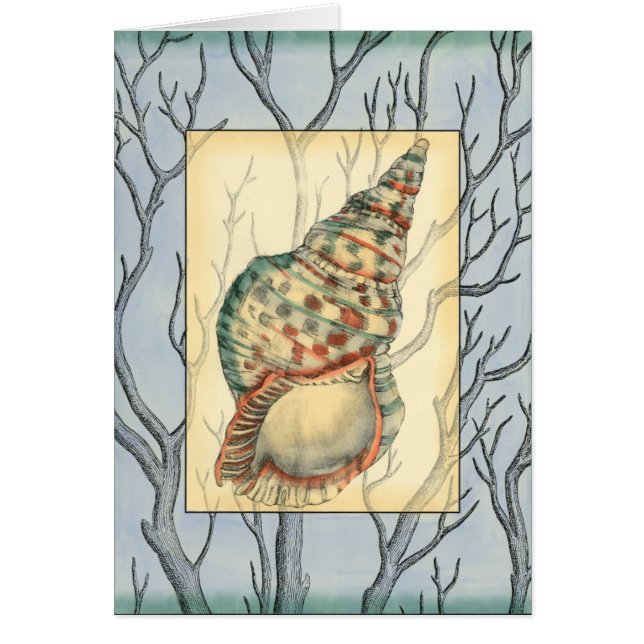 Seashell and Tree Branches (Voorkant)