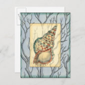 Seashell and Tree Branches Briefkaart (Voorkant / Achterkant)
