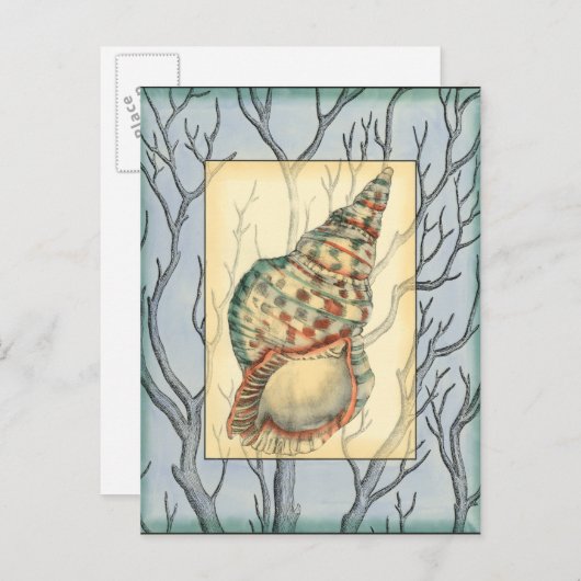 Seashell and Tree Branches Briefkaart (Voorkant / Achterkant)