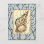 Seashell and Tree Branches Briefkaart (Voorkant)