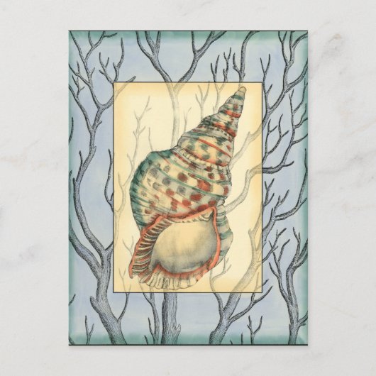 Seashell and Tree Branches Briefkaart (Voorkant)