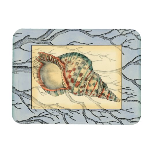 Seashell and Tree Branches Magneet (Horizontaal)