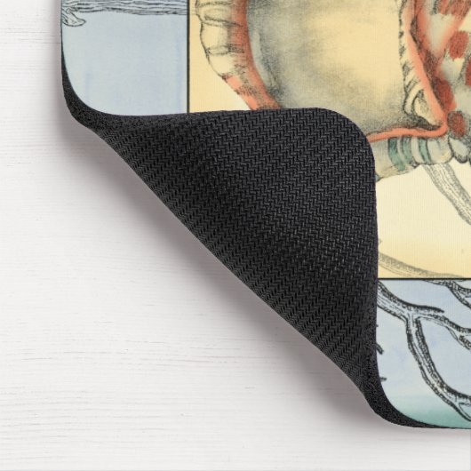 Seashell and Tree Branches Muismat (Hoek)