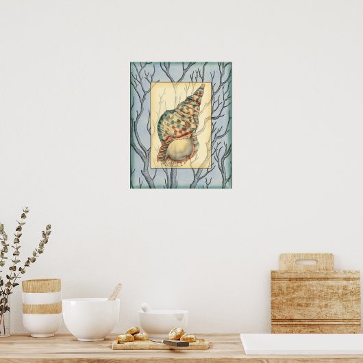 Seashell and Tree Branches Poster (Keuken)