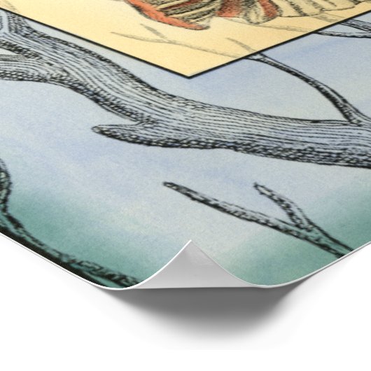 Seashell and Tree Branches Poster (Hoek)