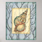 Seashell and Tree Branches Poster (Voorkant)