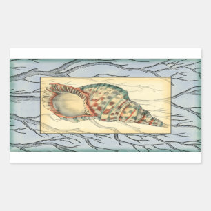 Seashell and Tree Branches Rechthoekige Sticker