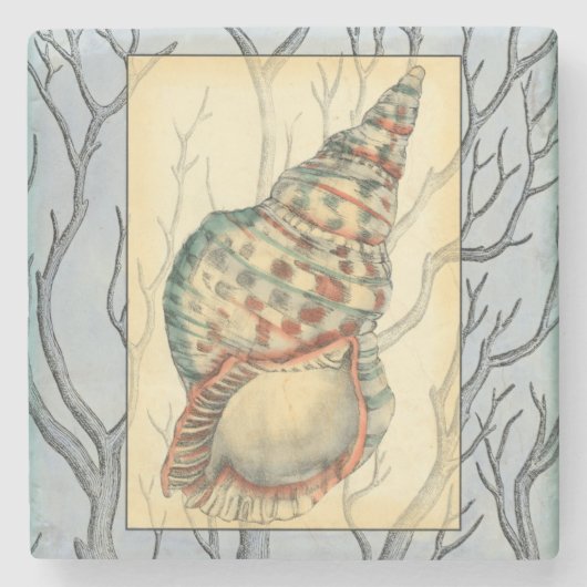 Seashell and Tree Branches Stenen Onderzetter (Voorkant)