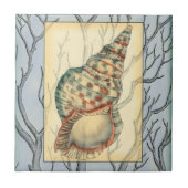 Seashell and Tree Branches Tegeltje (Voorkant)