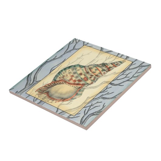 Seashell and Tree Branches Tegeltje (Zijkant)