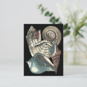 Seashell Anthology Briefkaart (Staand voorkant)