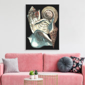 Seashell Anthology Canvas Afdruk (Insitu (Woonkamer))