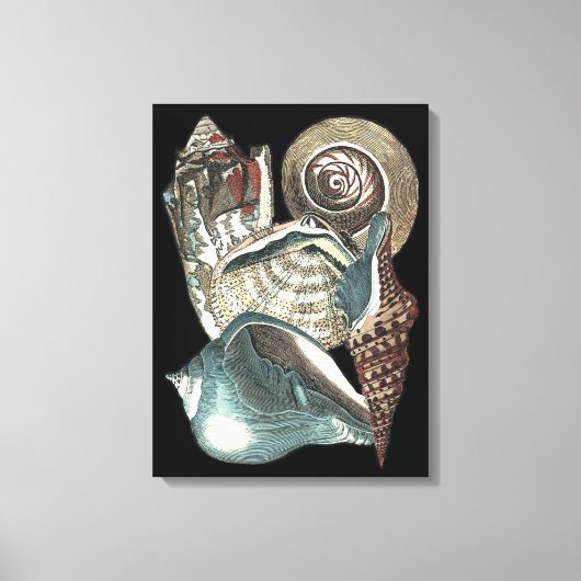Seashell Anthology Canvas Afdruk (Voorkant)
