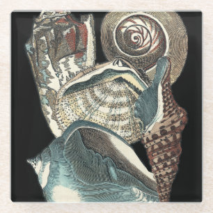 Seashell Anthology Glazen Onderzetter