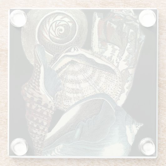 Seashell Anthology Glazen Onderzetter (Achterkant)