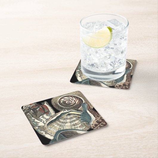 Seashell Anthology Kartonnen Onderzetters (Insitu)