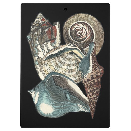 Seashell Anthology Klembord (Achterkant)