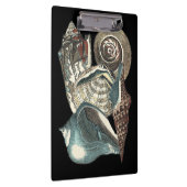 Seashell Anthology Klembord (Rechts)