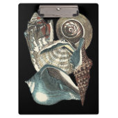Seashell Anthology Klembord (Voorkant)