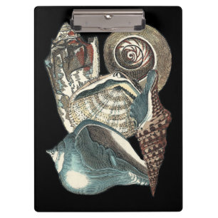 Seashell Anthology Klembord