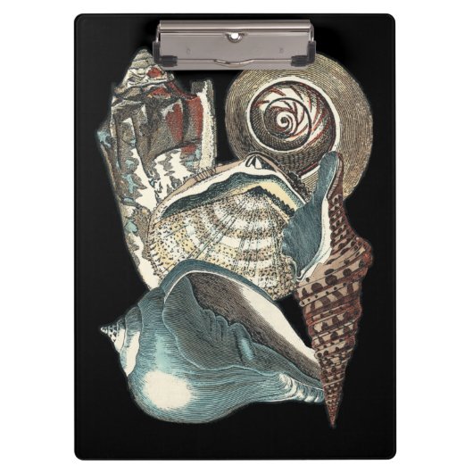 Seashell Anthology Klembord (Voorkant)