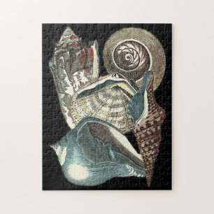Seashell Anthology Legpuzzel