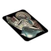 Seashell Anthology Magneet (Rechterzijde)