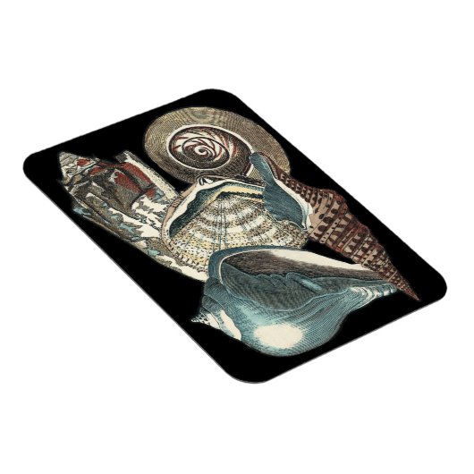 Seashell Anthology Magneet (Rechterzijde)