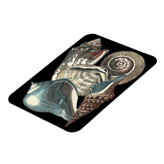 Seashell Anthology Magneet (Linkerzijde)