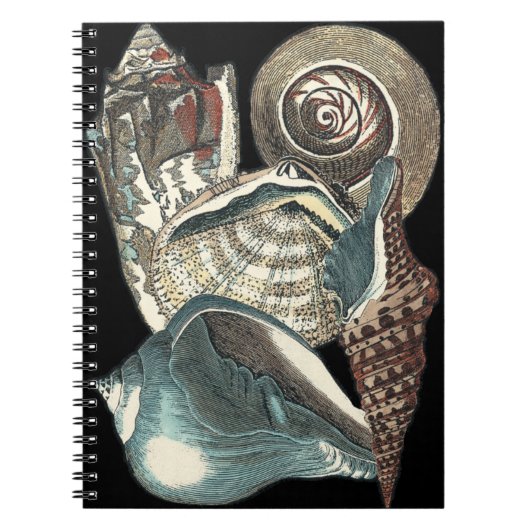 Seashell Anthology Notitieboek (Voorkant)