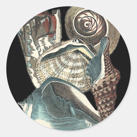 Seashell Anthology Ronde Sticker (Voorkant)