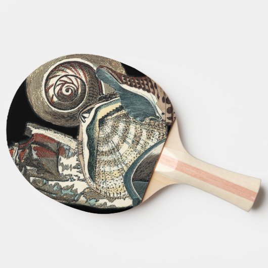 Seashell Anthology Tafeltennisbatje (Zijkant)