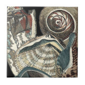 Seashell Anthology Tegeltje (Voorkant)