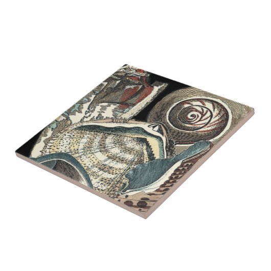 Seashell Anthology Tegeltje (Zijkant)