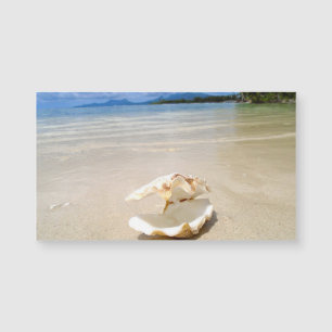 Seashell Beach Magnet Visitekaartje